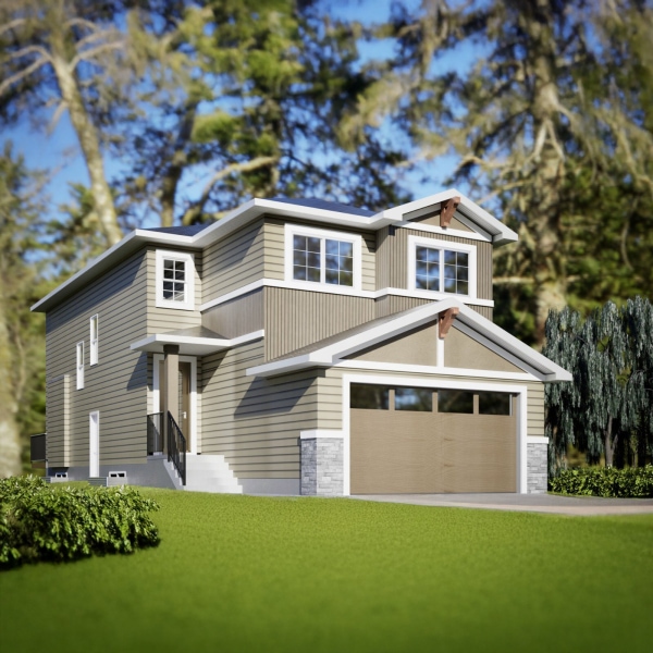 Banner Image of Cedar 4
